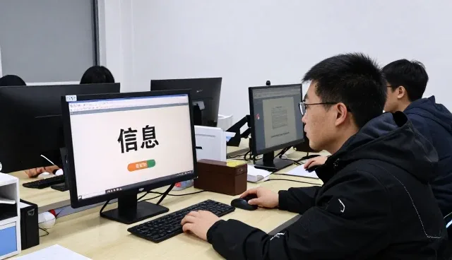 信息咨询成为软件发展的重要工具
