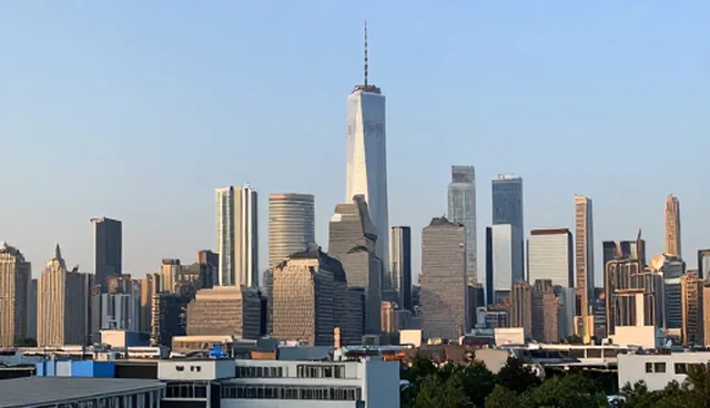 系统实施中的问题处理策略及适用场景